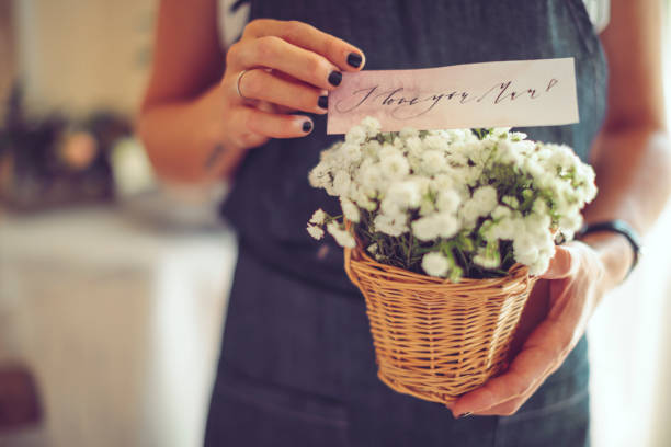 Introducción a la cestería